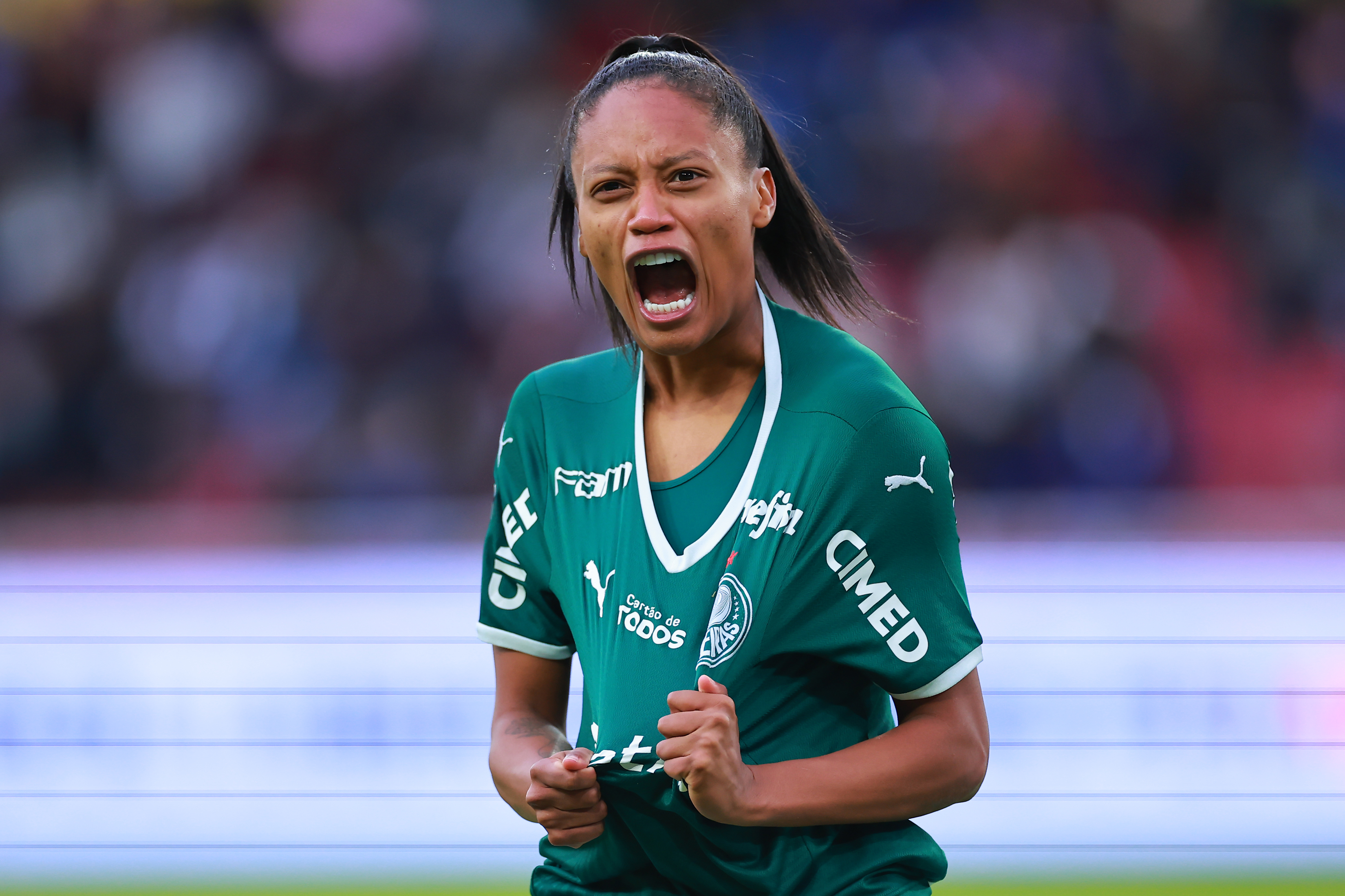 Ary Borges no Palmeiras