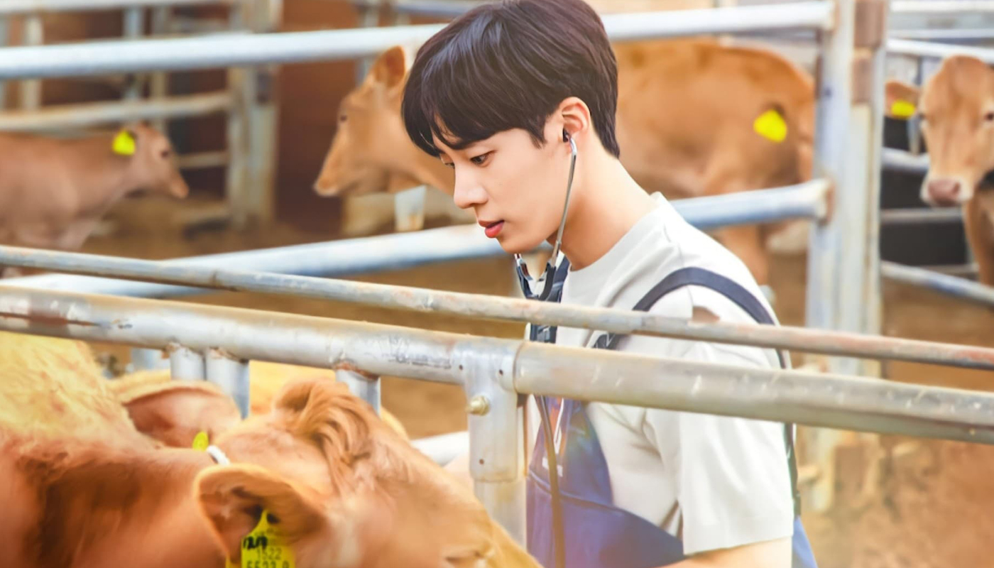 Dorama