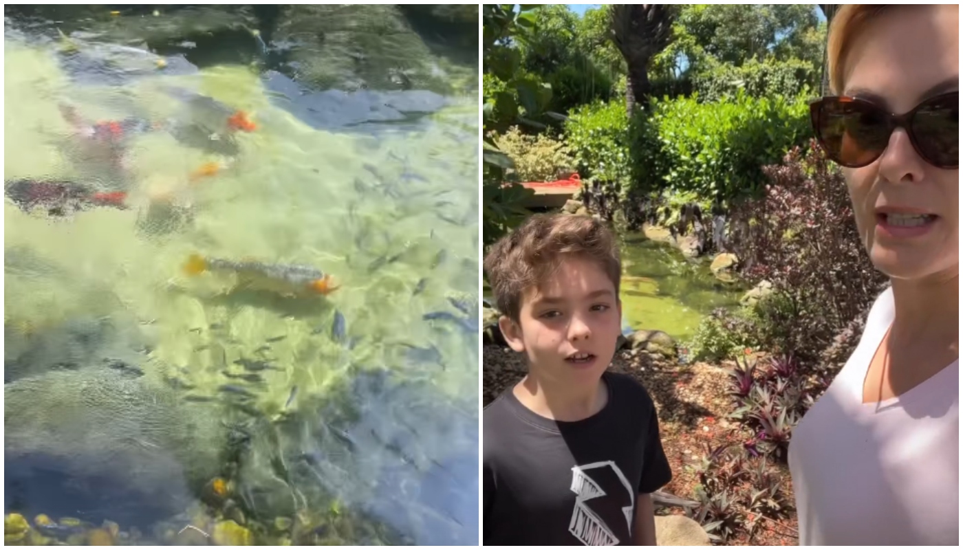 Mansão de Ana Hickmann em Itu, interior de São Paulo, tem até lago com carpas