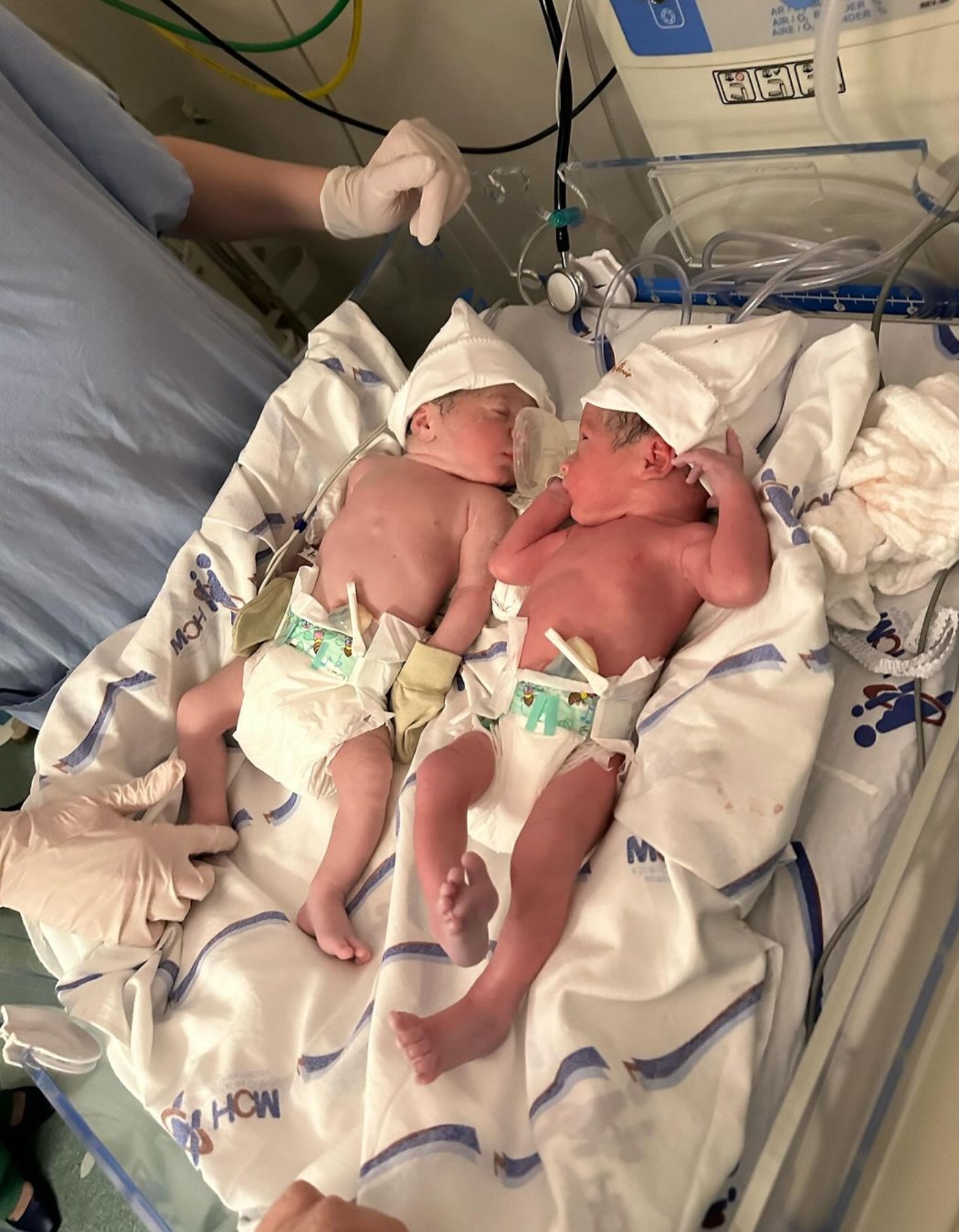 Bárbara Evans dá à luz Antônio e Álvaro