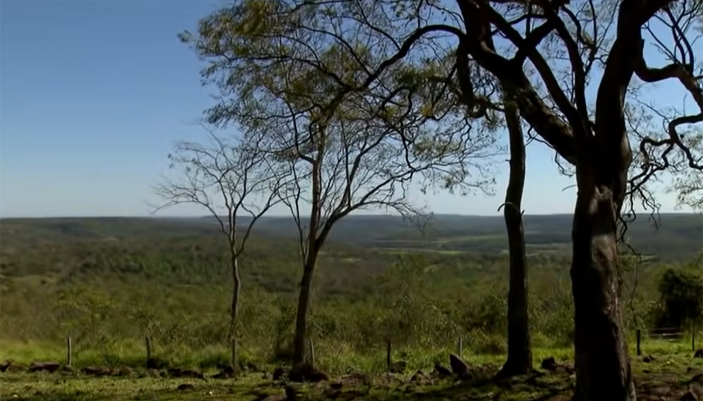 Fazenda de Almir sater no Pantanal