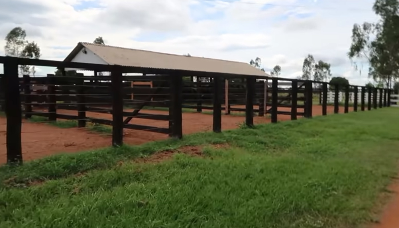 Curral da fazenda de Leonardo