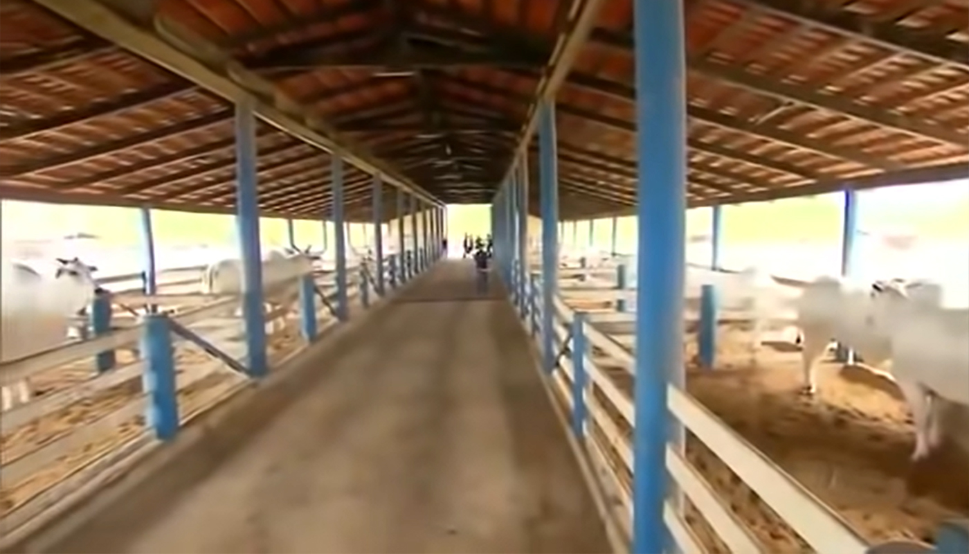 Fazenda de Zezé di Camargo
