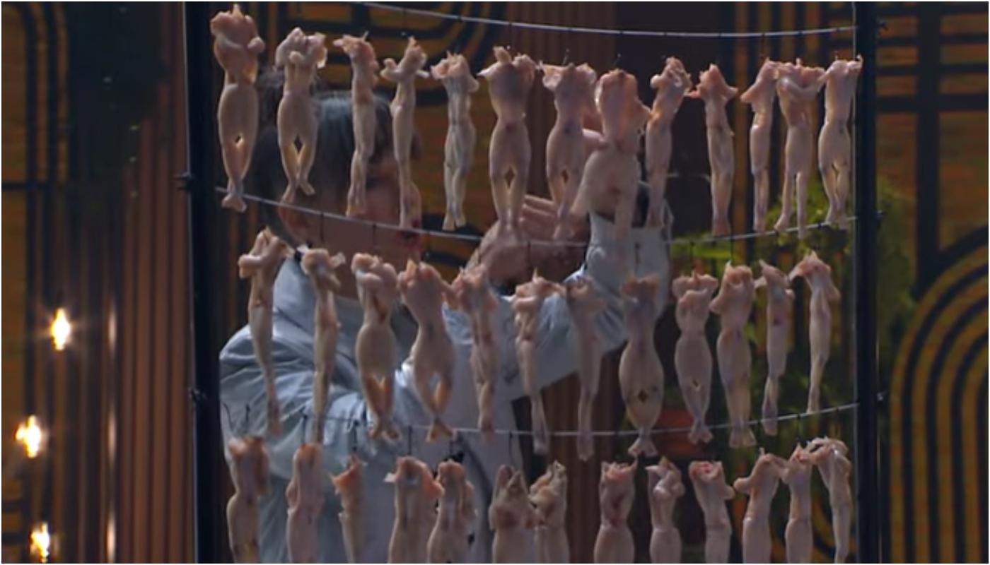 Helena Rizzo mexe no varal de rãs no