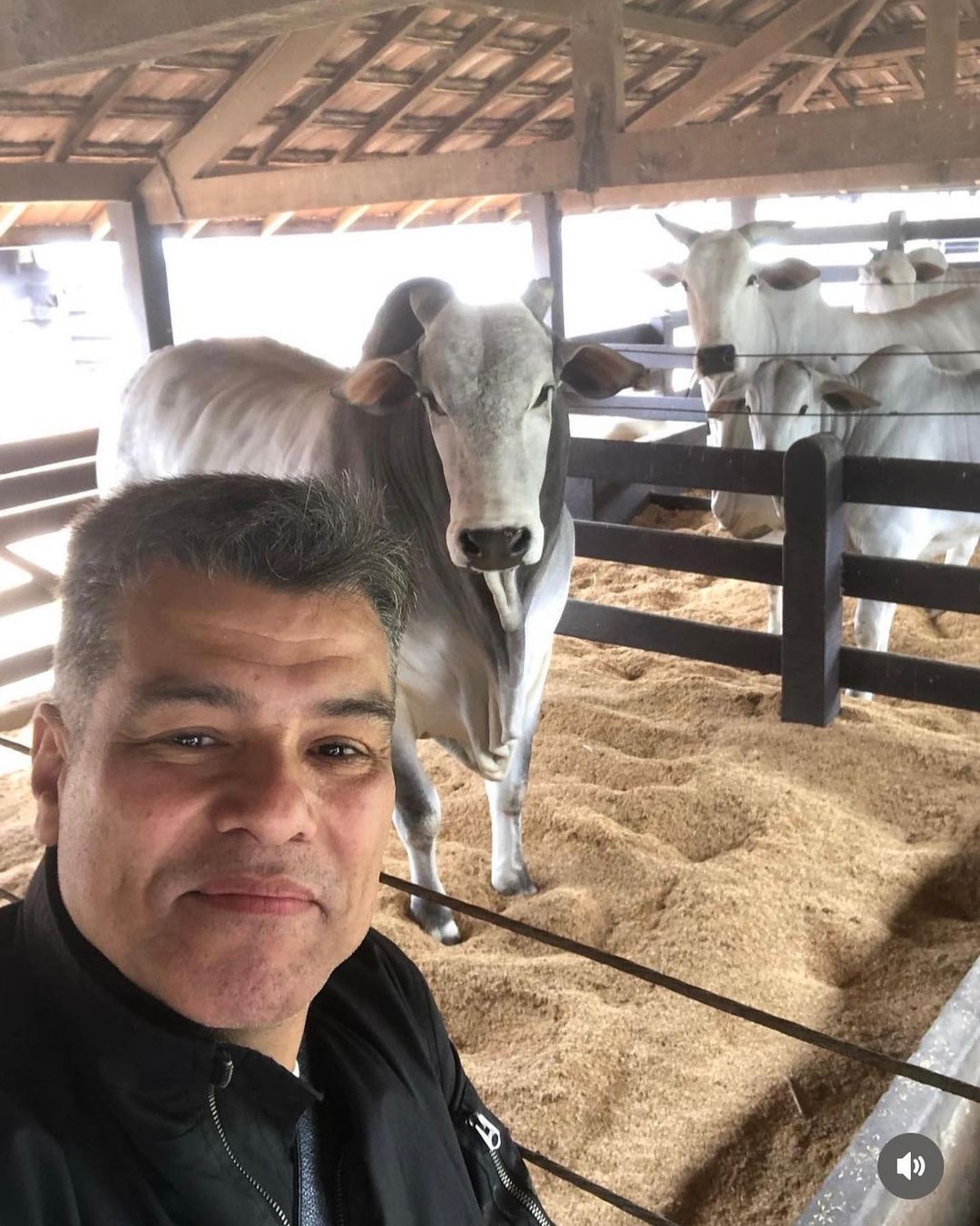 Mauricio Mattar