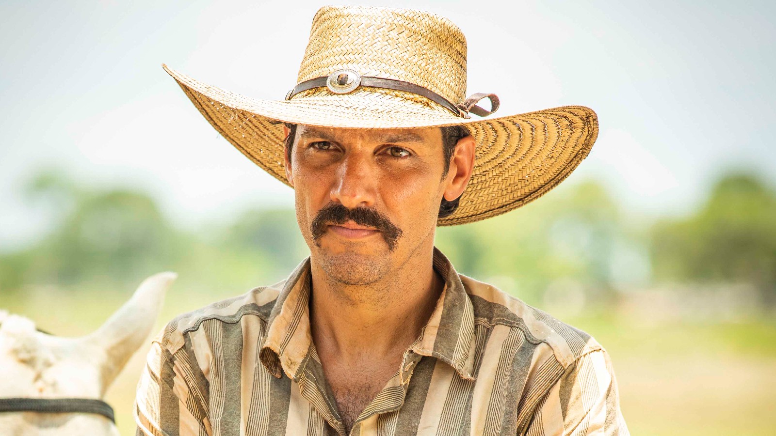 Tibério (Guito) é administrador da fazenda de José Leôncio (Marcos Palmeira).