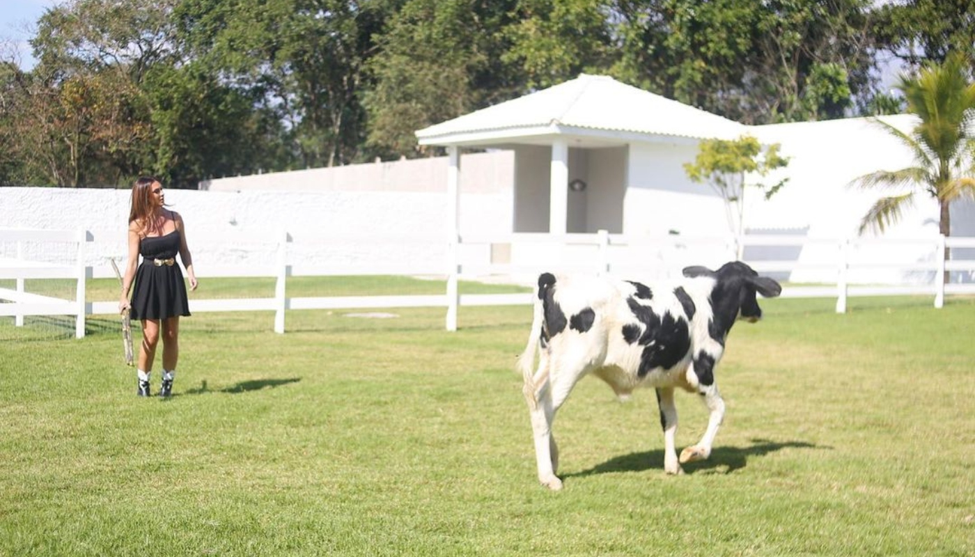 Nicole Bahls mostra vaca de estimação